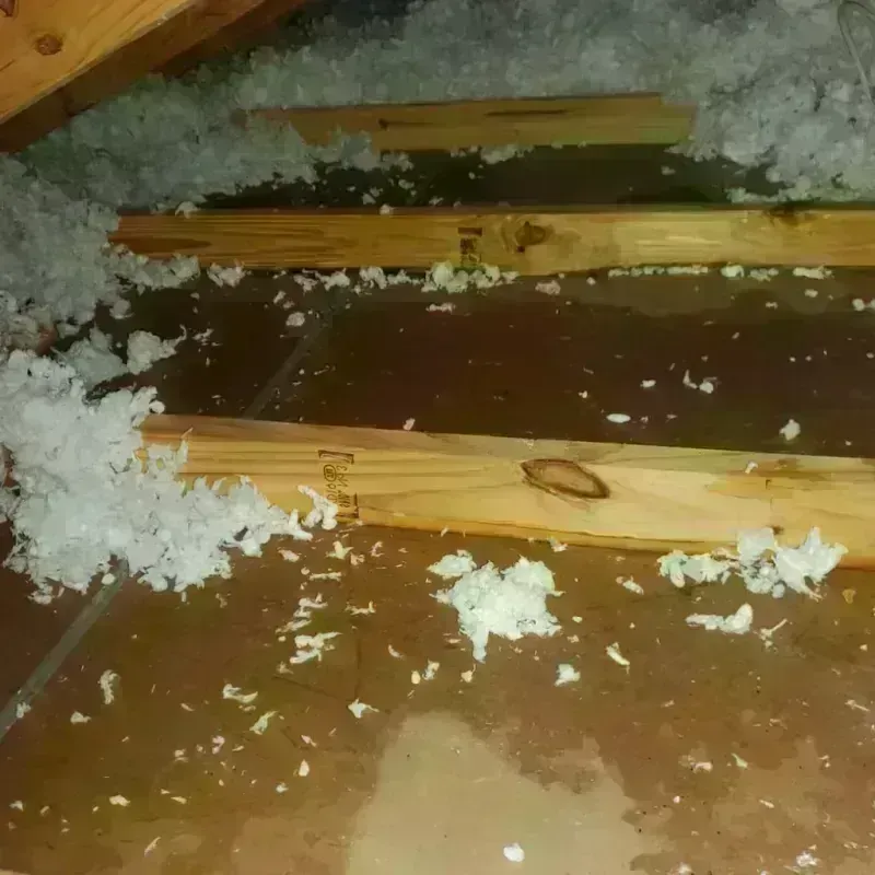 Attic Water Damage in Westlake, TX