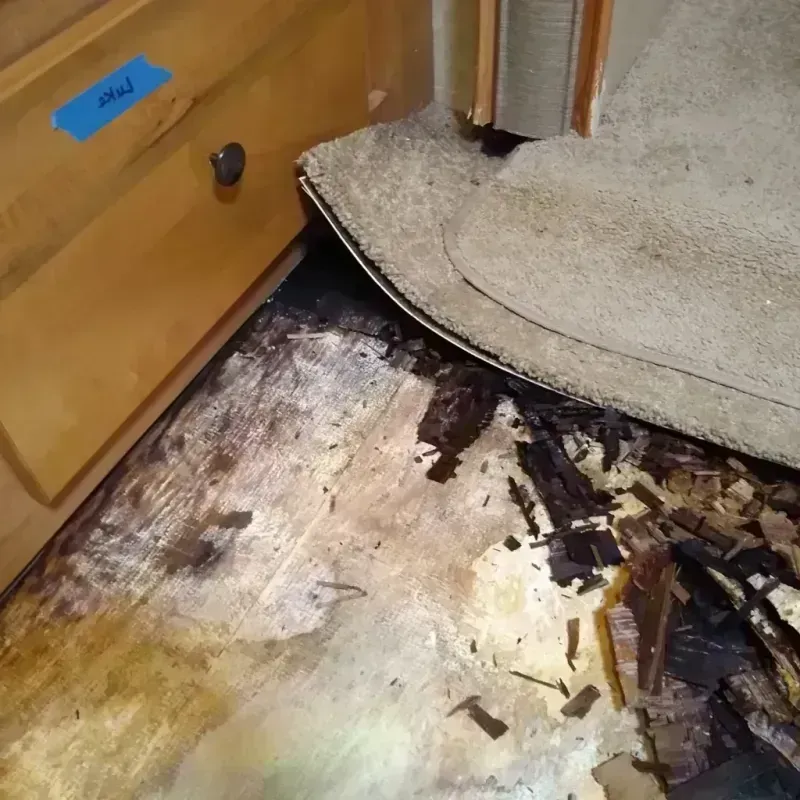 Wood Floor Water Damage in Westlake, TX